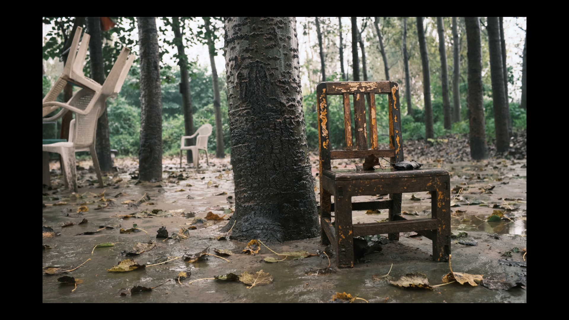 阴雨天扫街 经典负片classic negative直出 我中毒了