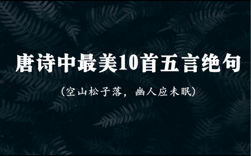 “空山松子落,幽人应未眠”|唐诗中最美10首五言绝句如梦如画哔哩哔哩bilibili