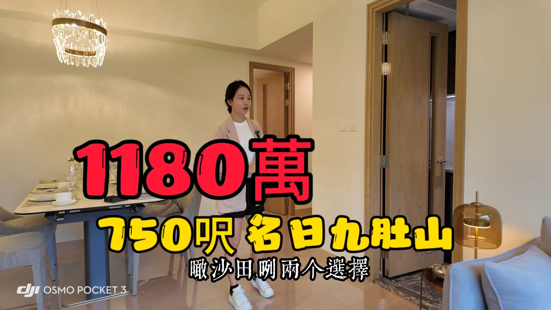 沙田现楼新盘|名日九肚山|1180万750尺|九肚山|送家具哔哩哔哩bilibili