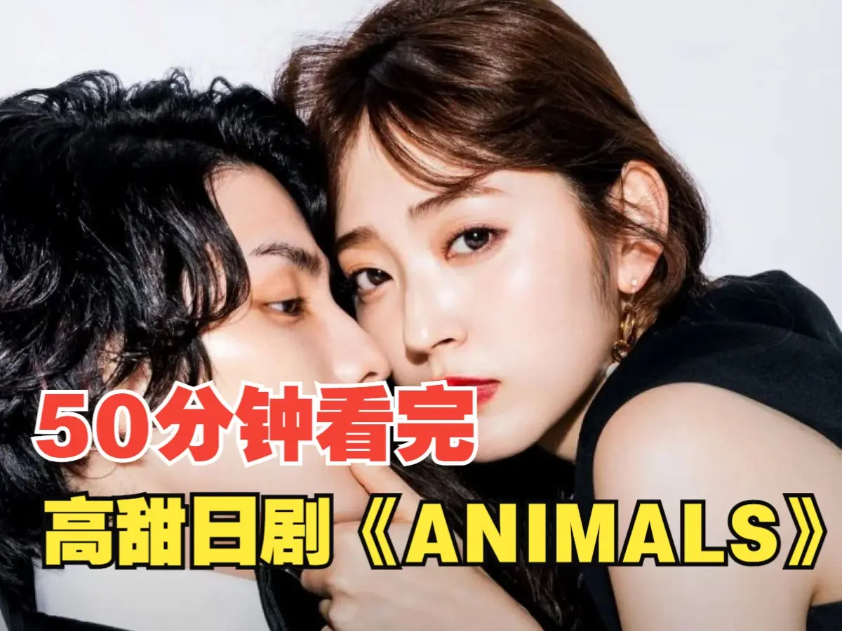 一口气看完50分钟，高甜日剧《animals》全8集加番外篇_哔哩哔哩_bilibili
