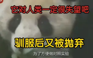 下载视频: 祥祥被救助时眼里全是委屈的泪水