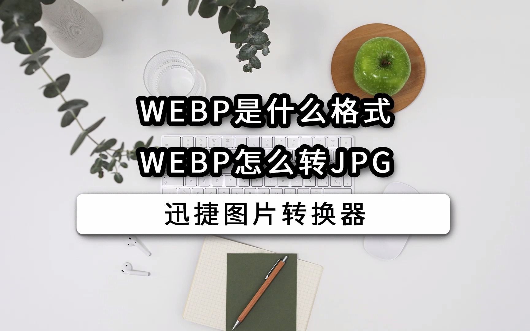 WEBP是什么格式?WEBP怎么转JPG?哔哩哔哩bilibili