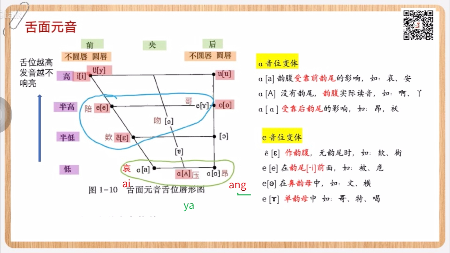 舌面元音舌位圖