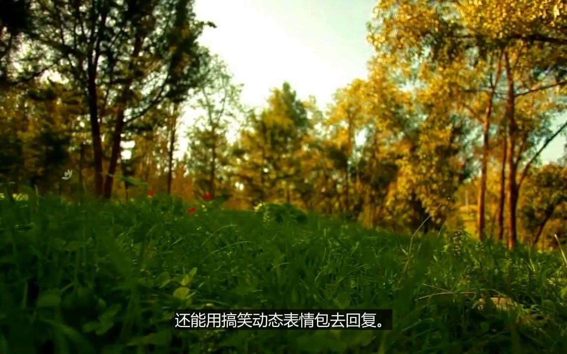 和刚介绍的对象qq聊天怎么聊哔哩哔哩bilibili