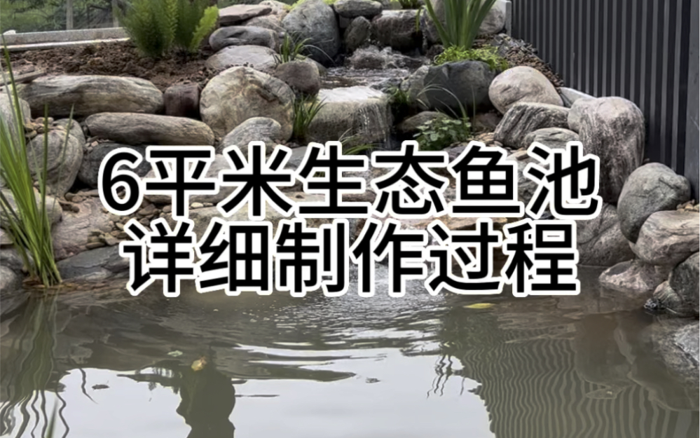 6平米的生态鱼池详细制作过程哔哩哔哩bilibili