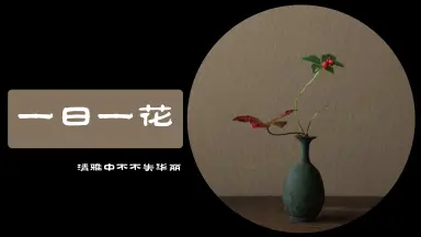 川濑敏郎/-哔哩哔哩_Bilibili
