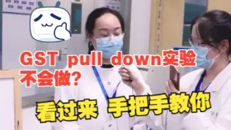 GST pull down实验不会做？看过来手把手教你！！！（一）