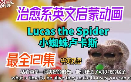 【最全121集】 Lucas the Spider小蜘蛛卢卡斯【英语启蒙必刷】治愈系英文启蒙动画 童真,善良,惹人怜惜.配音真的很出色哔哩哔哩bilibili