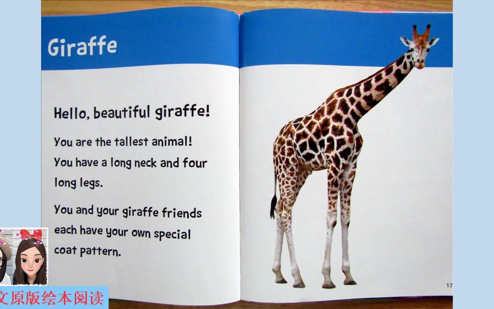 【英文绘本阅读】Hello, Beautiful! Zoo Animals: giraffe 《你好,美丽!动物园动物篇》之长颈鹿哔哩哔哩bilibili