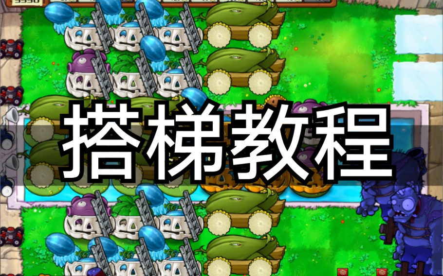 『植物大战僵尸经典八炮搭梯教程』——1,第二波,无小丑无巨人无车