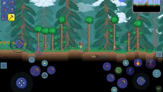 Download Video: 【Terraria】在前期获得更多鱼饵！