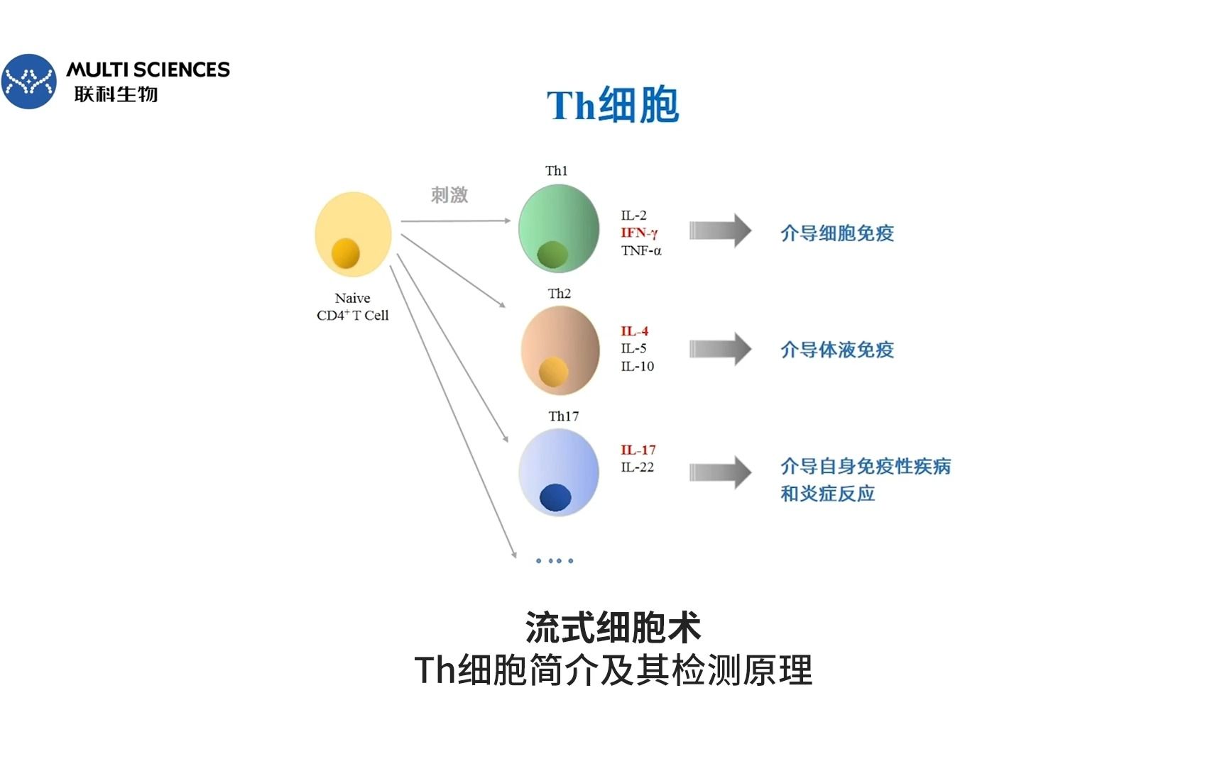 视频号流式细胞术——Th细胞简介及其检测原理哔哩哔哩bilibili