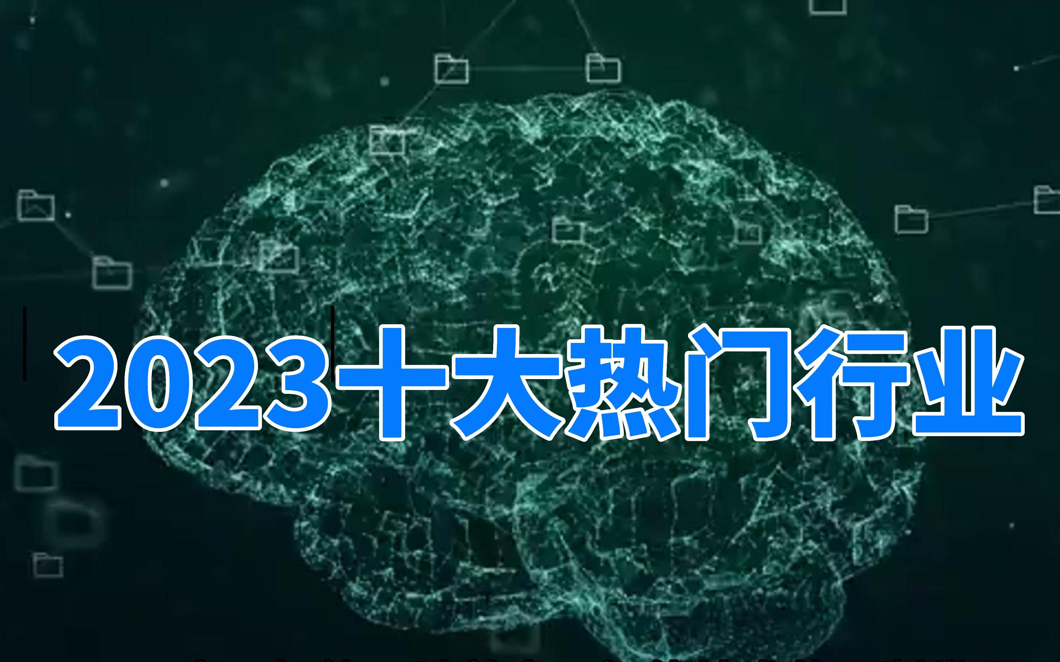 2023十大热门行业哔哩哔哩bilibili