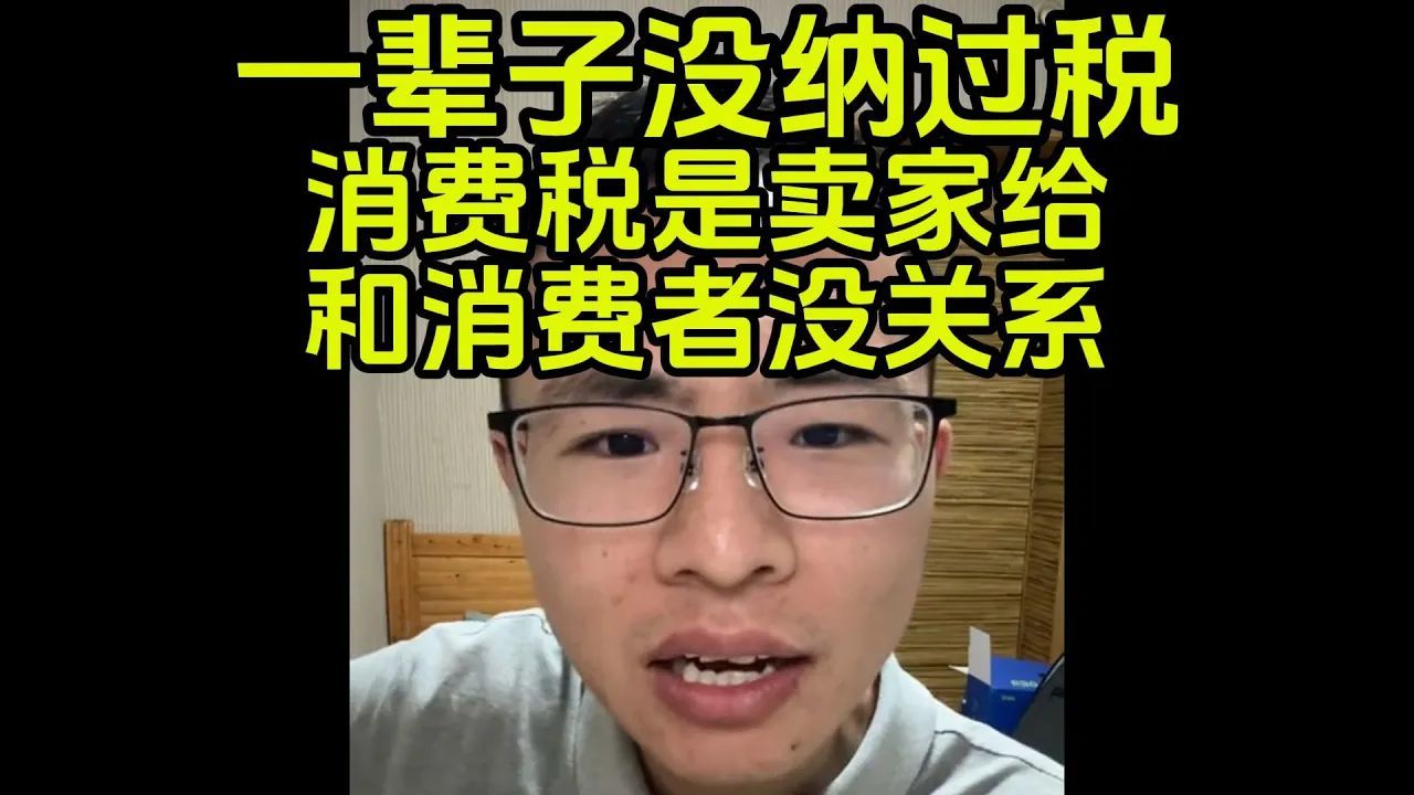 我从来没交过税,增值税是卖家出,和消费者无关哔哩哔哩bilibili