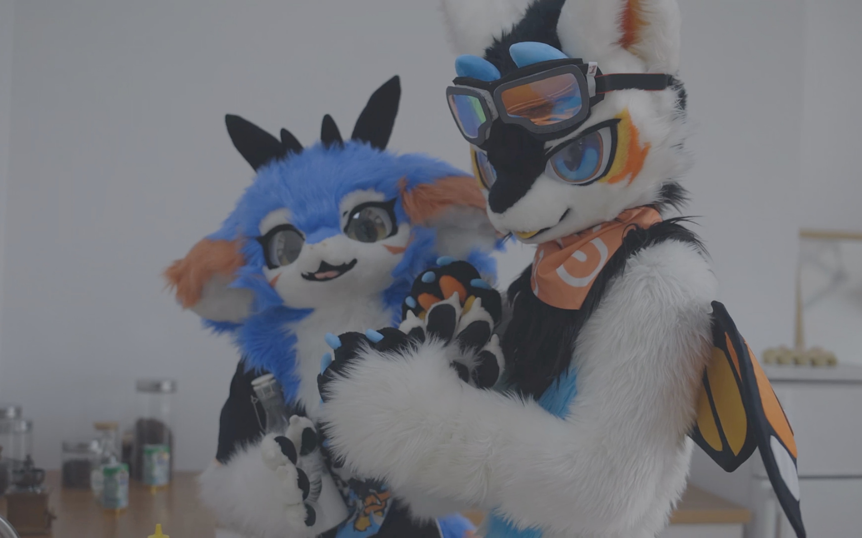 fursuit兽装和果糖在家里搞破坏