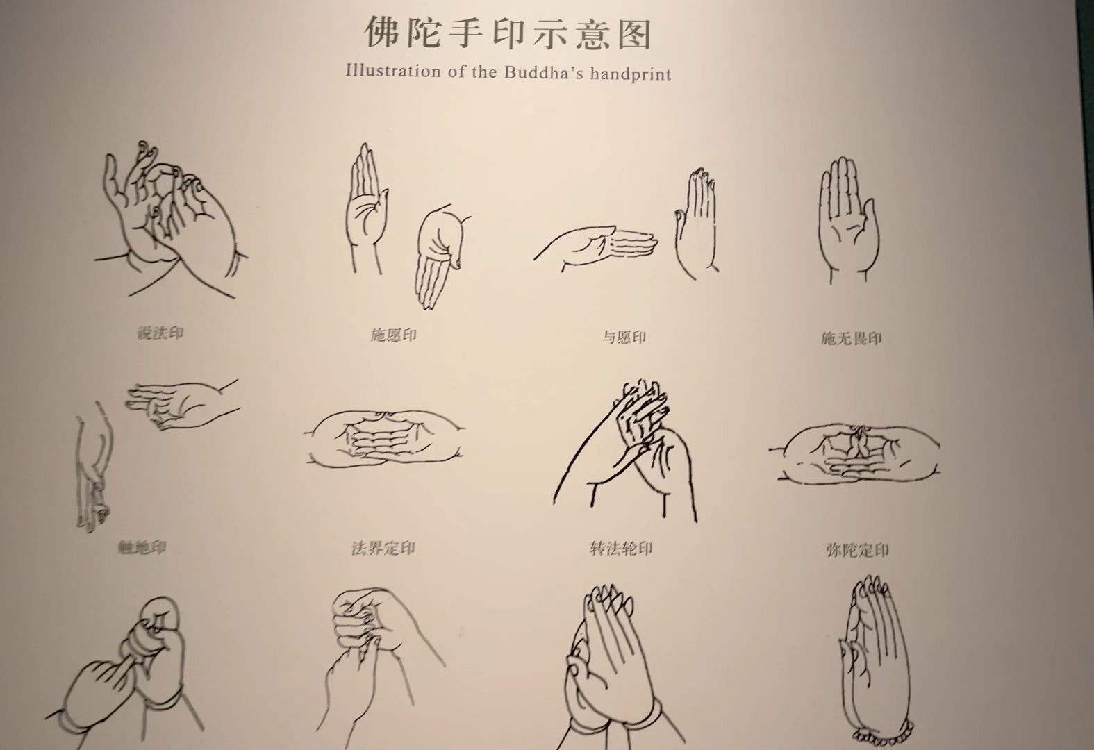 离开大连继续向北出发,第一站到了沈阳,虽然只是浅浅