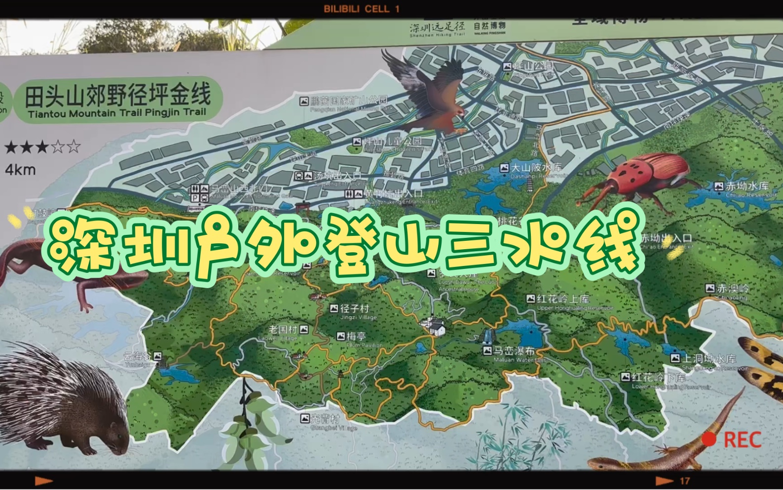 深圳坪山新区户外登山远足金龟田头三水线
