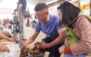 Download Video: 昆明木水花市场菌子上百种你认识多少种？火哥川菜回家中国行22