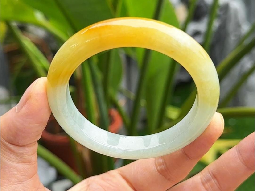 油润靓丽的黄翡手镯,给手腕上还空空如也的姐姐们安排上!