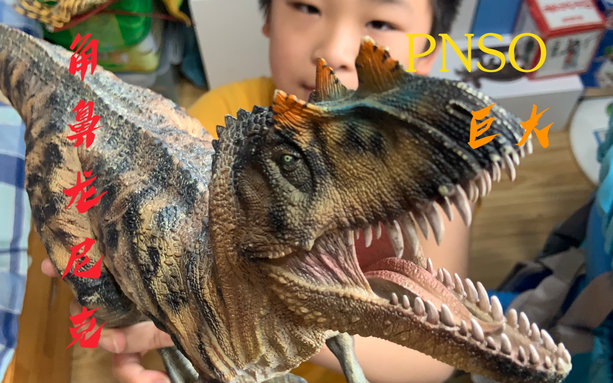 【pnso神品】初版设计角鼻龙尼克,科学复原模型,体大如牛,性价比极高