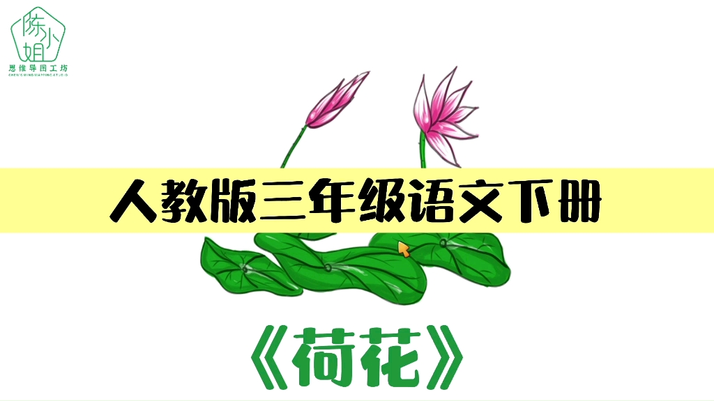 三年级语文下册人教版《荷花》‖课文分享&总复习哔哩哔哩bilibili