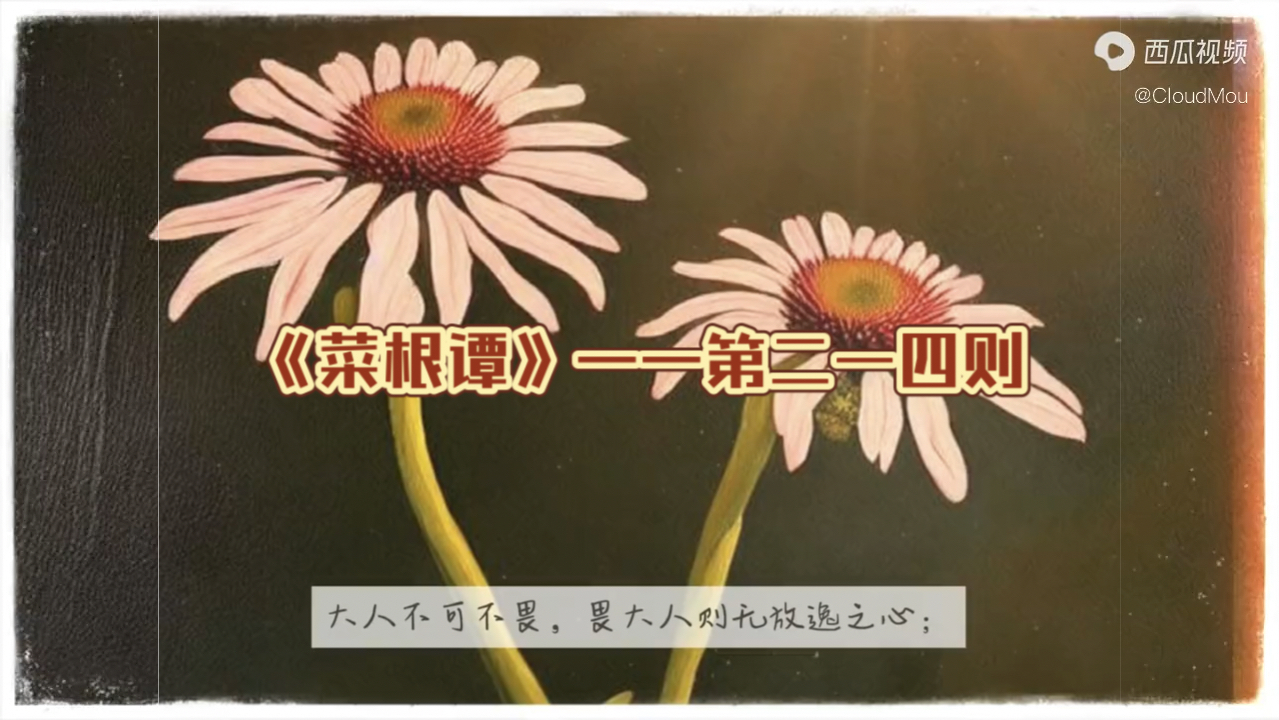 《菜根谭》——第二一四则