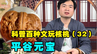 科普百种文玩核桃32平谷元宝，人见人爱的品种，推荐盘玩儿_哔哩哔哩_