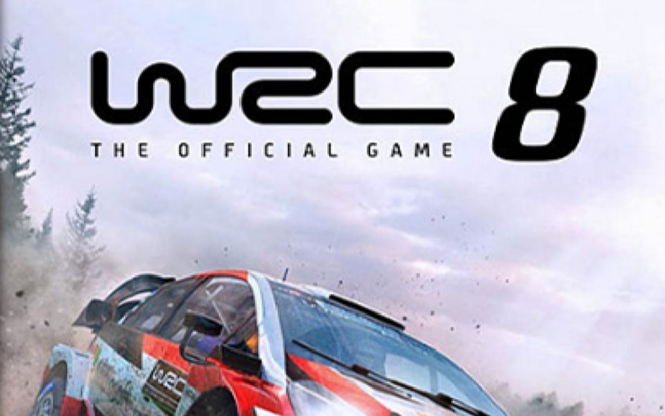 [图]【WRC 8】世界拉力锦标赛8 驾驶舱视角 蒙特卡洛