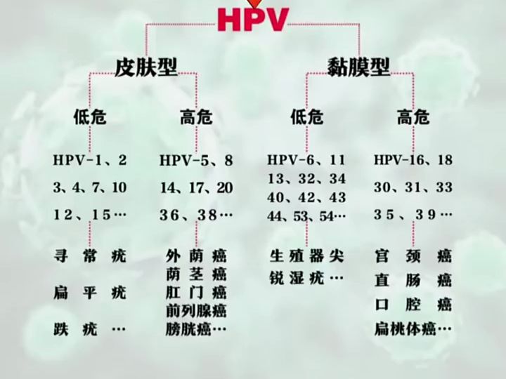 合肥治疗hpv阳性医院:一张图告诉你各种型号的hpv可能导致的疾病