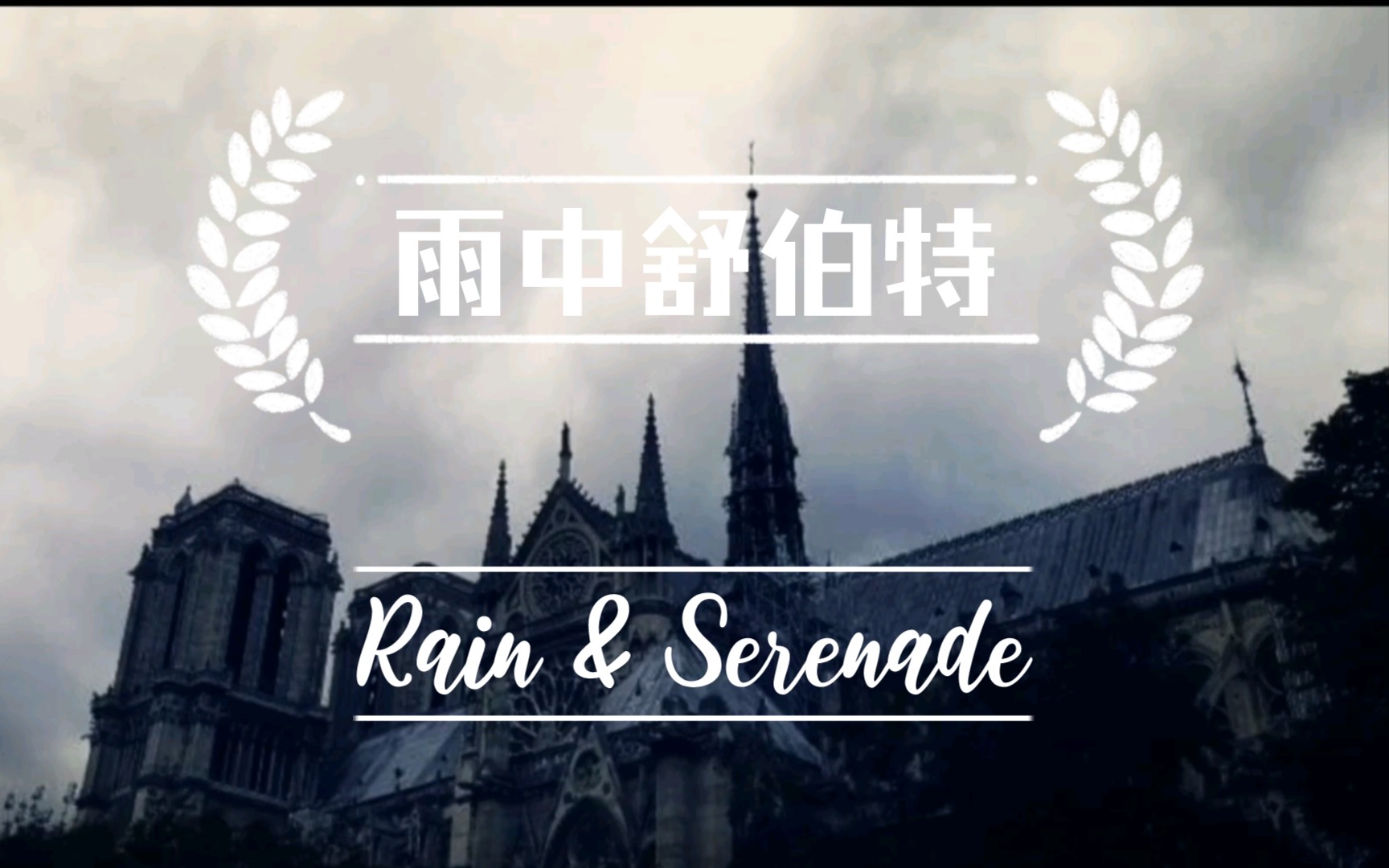 [图]【无事此静坐】雨中舒伯特 ▏Rain & Serenade 冥想/治愈/独处/自习