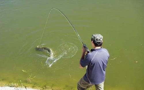 饥荒短剧|钓鱼王