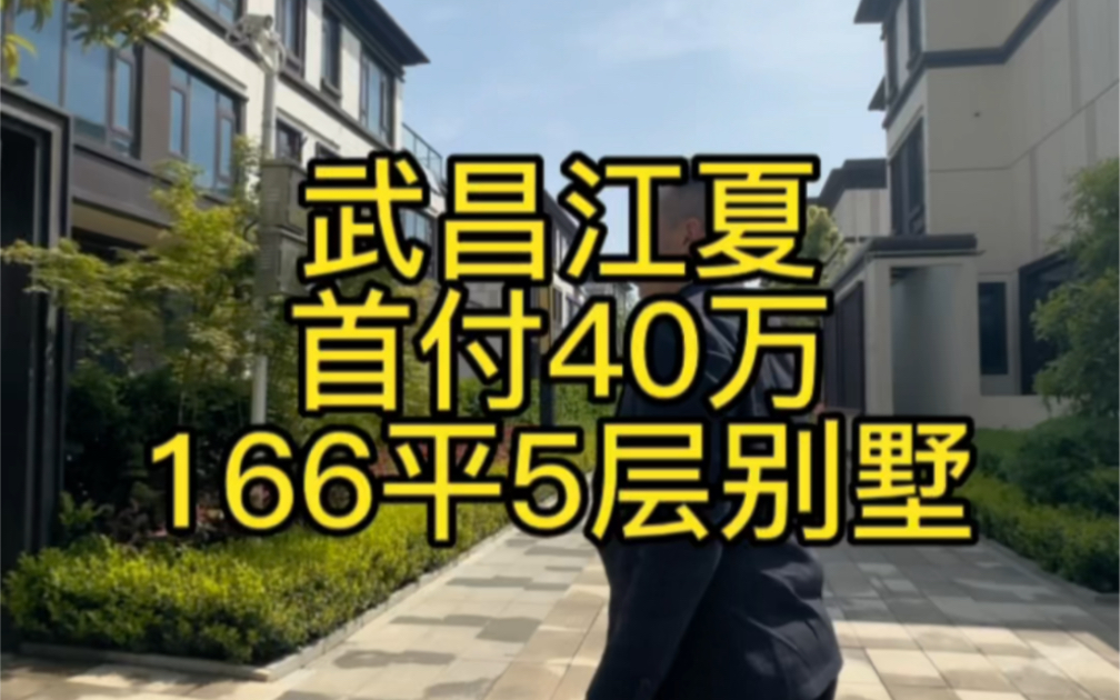 武昌江夏首付最低的山水别墅 70年现房 首付40万 上下5层 400平 送