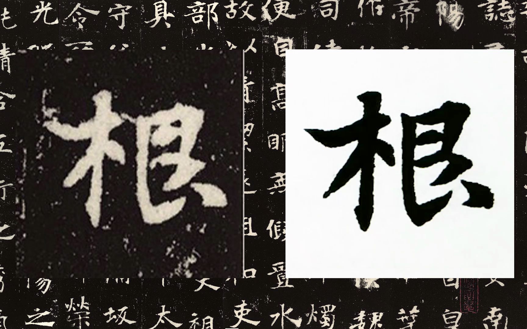 [图]【每日一字】书法系列，周东芬临北魏墓志《张黑女墓志》“根”字