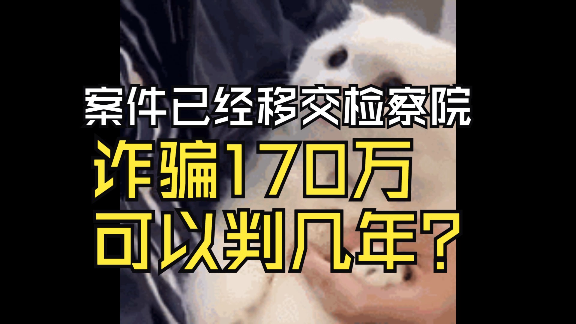 案件已经移交检察院,咨询律师170万预计只能判78年????哔哩哔哩bilibili