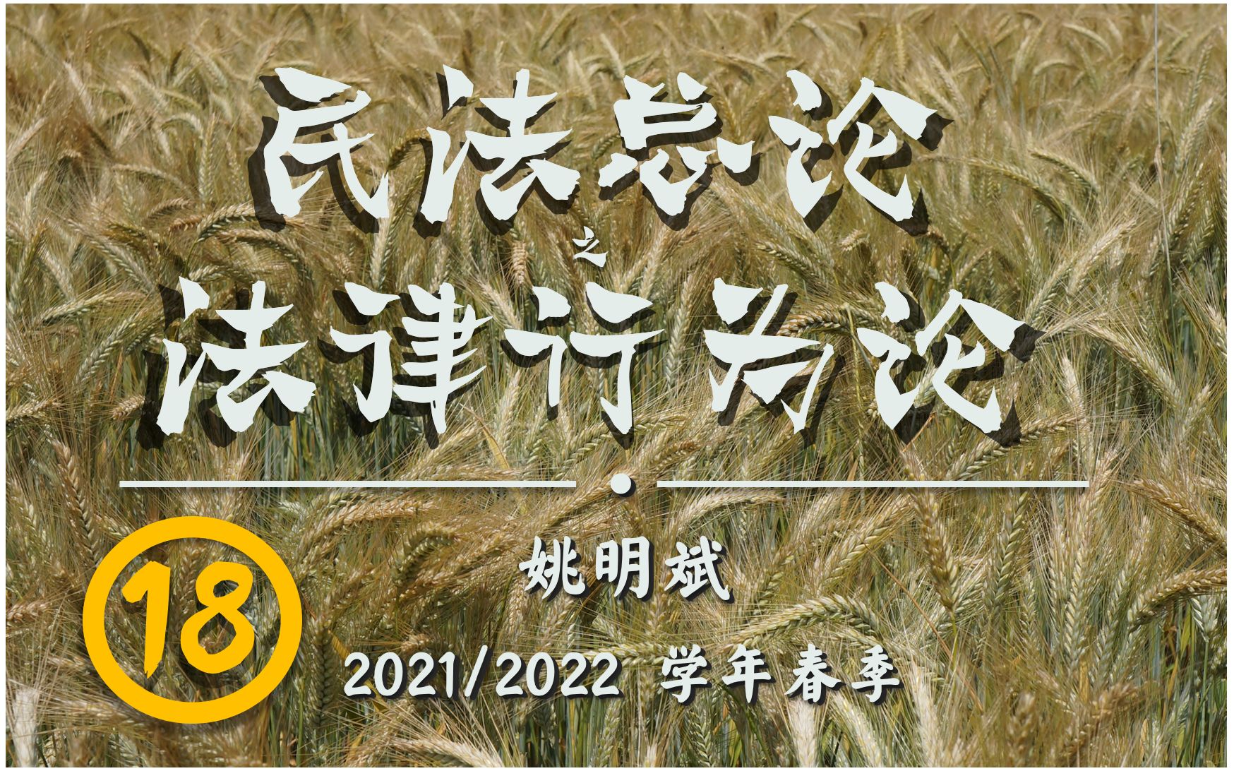 【民法总论ⷦ𓕥𞋨ጤ𘺨€‘第18弹:违法悖俗哔哩哔哩bilibili