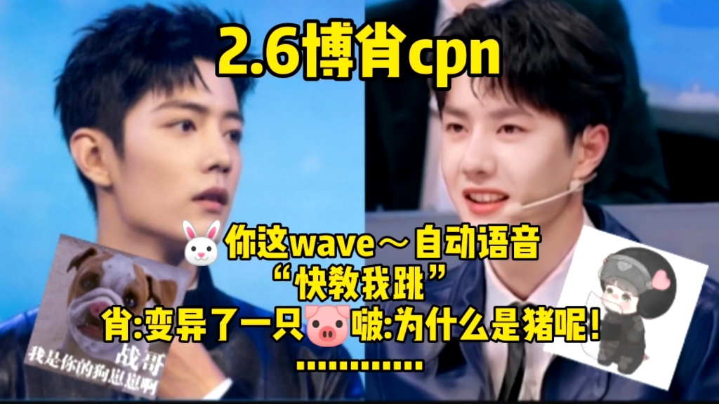 【博君一肖cpn】2.6肖肖的wave“快教我跳”……啵:为什么是猪呢!一只长了猪鼻子的狗……哔哩哔哩bilibili