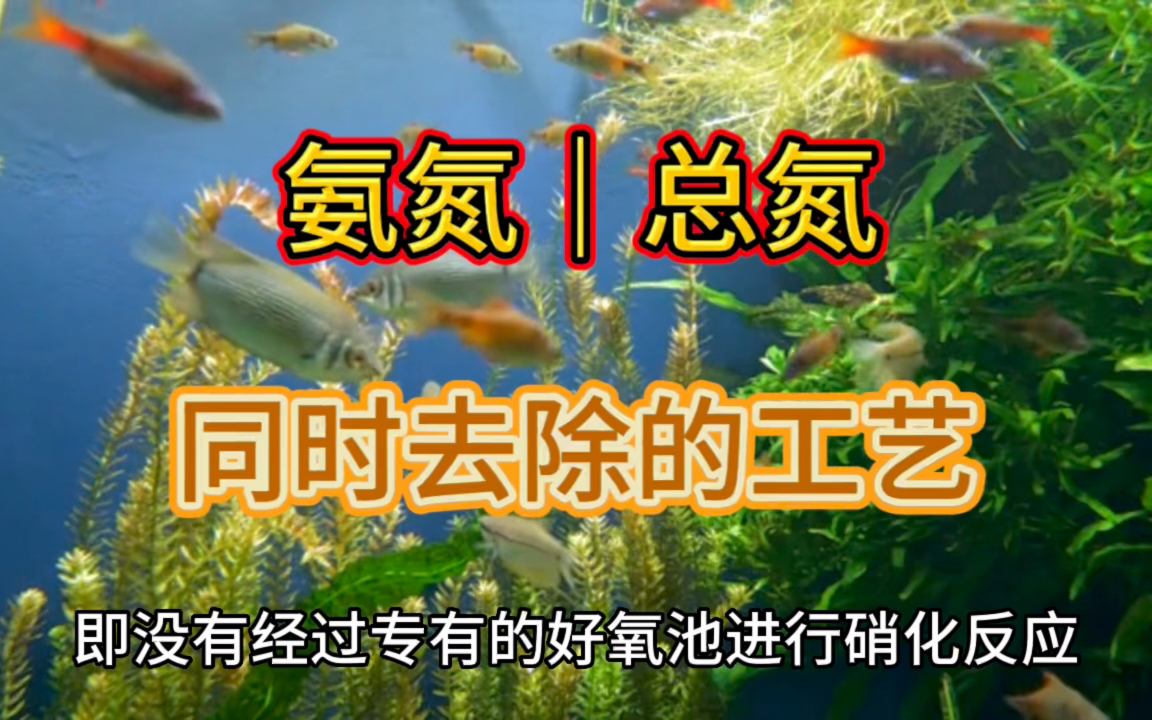 高氨氮废水运行费用狂降:去除氨氮的同时,总氮也没有了哔哩哔哩bilibili