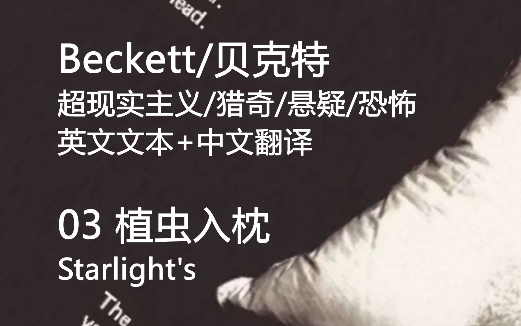 【猎奇/悬疑/冷门游戏】Beckett/贝克特 (中文英字) 03植虫入枕单机游戏热门视频