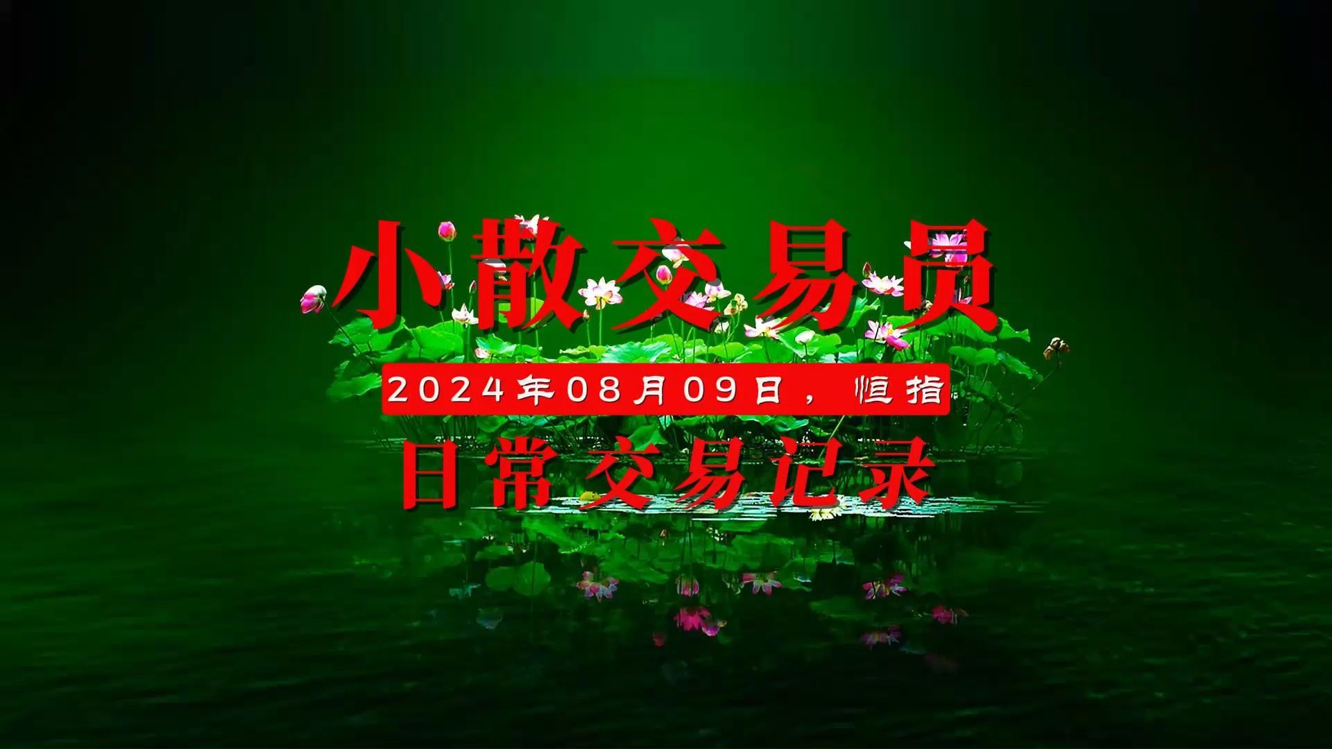 2024年度交易与生活记录DAY104(2024年8月9日恒指)负二百五哔哩哔哩bilibili