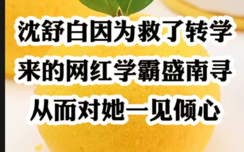 沈舒白在一个雨天因为救了转学来的网红学霸盛南寻,从而对她一见倾心.哔哩哔哩bilibili