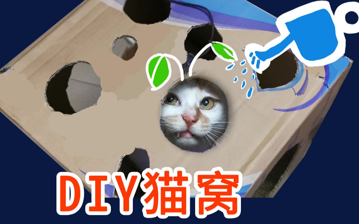 [自制猫窝]这个纸箱可以种出猫!哔哩哔哩bilibili