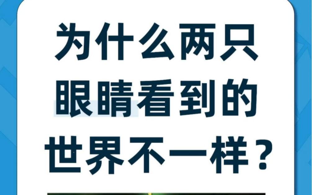 [图]为什么两只眼睛看到的世界不一样？