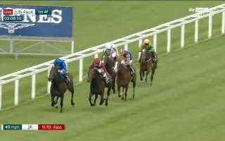 英皇锦标 搜索结果 哔哩哔哩 Bilibili