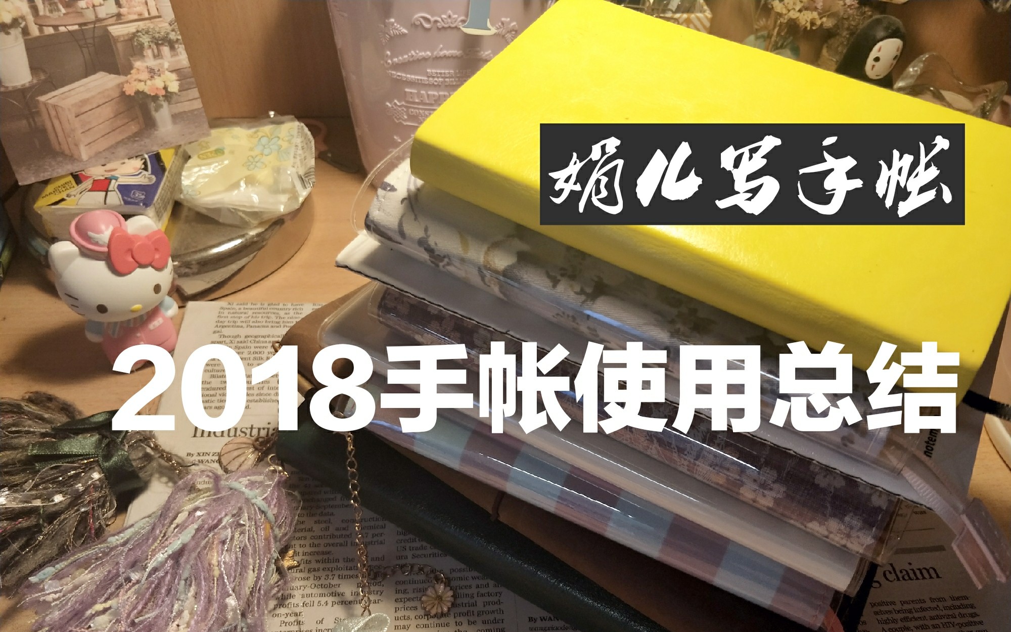 【娟儿写手帐】2018手帐使用总结☞趁早日程本+hobo一日一页+muji时间轴+ameame冬青+手作tn+晨光集客哔哩哔哩bilibili