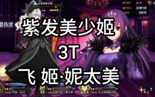 Download Video: 【FGO】CBA 3T 飞嫂