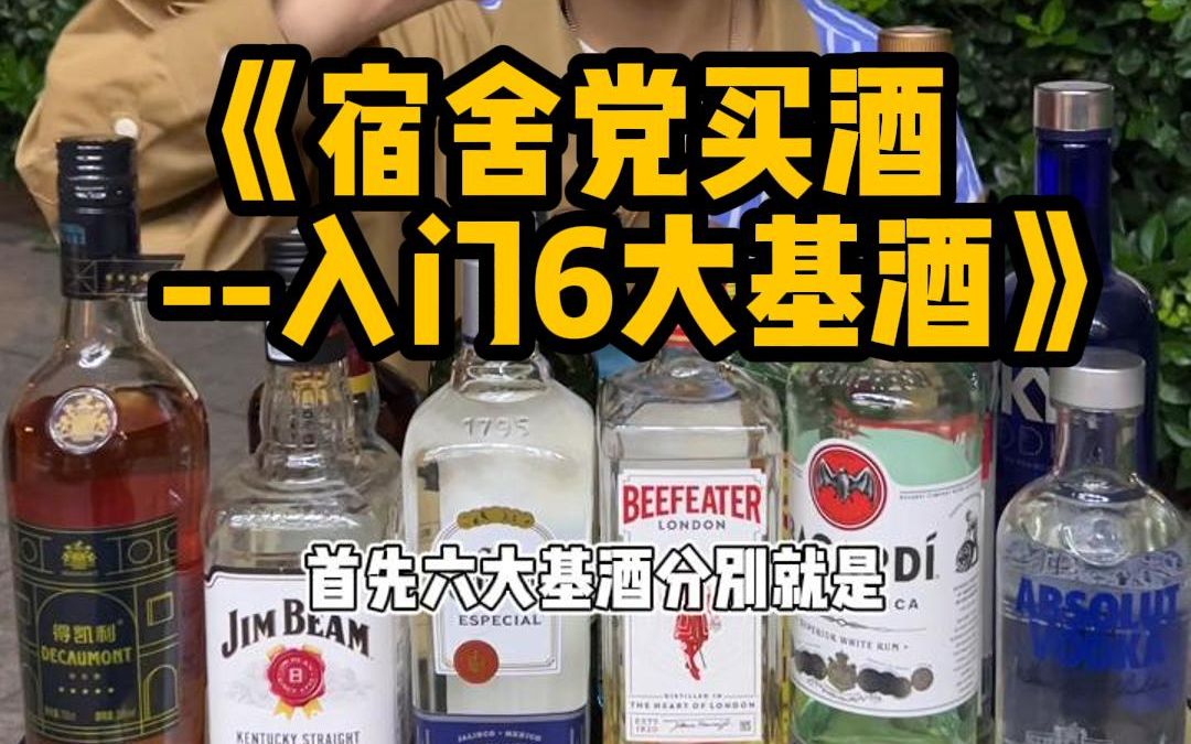 好多人刚入门调酒不知道买什么酒!今天就给大家简单科普一下入门的6大基酒!看完之后你们想要买什么酒心里就会有个大概啦!哔哩哔哩bilibili