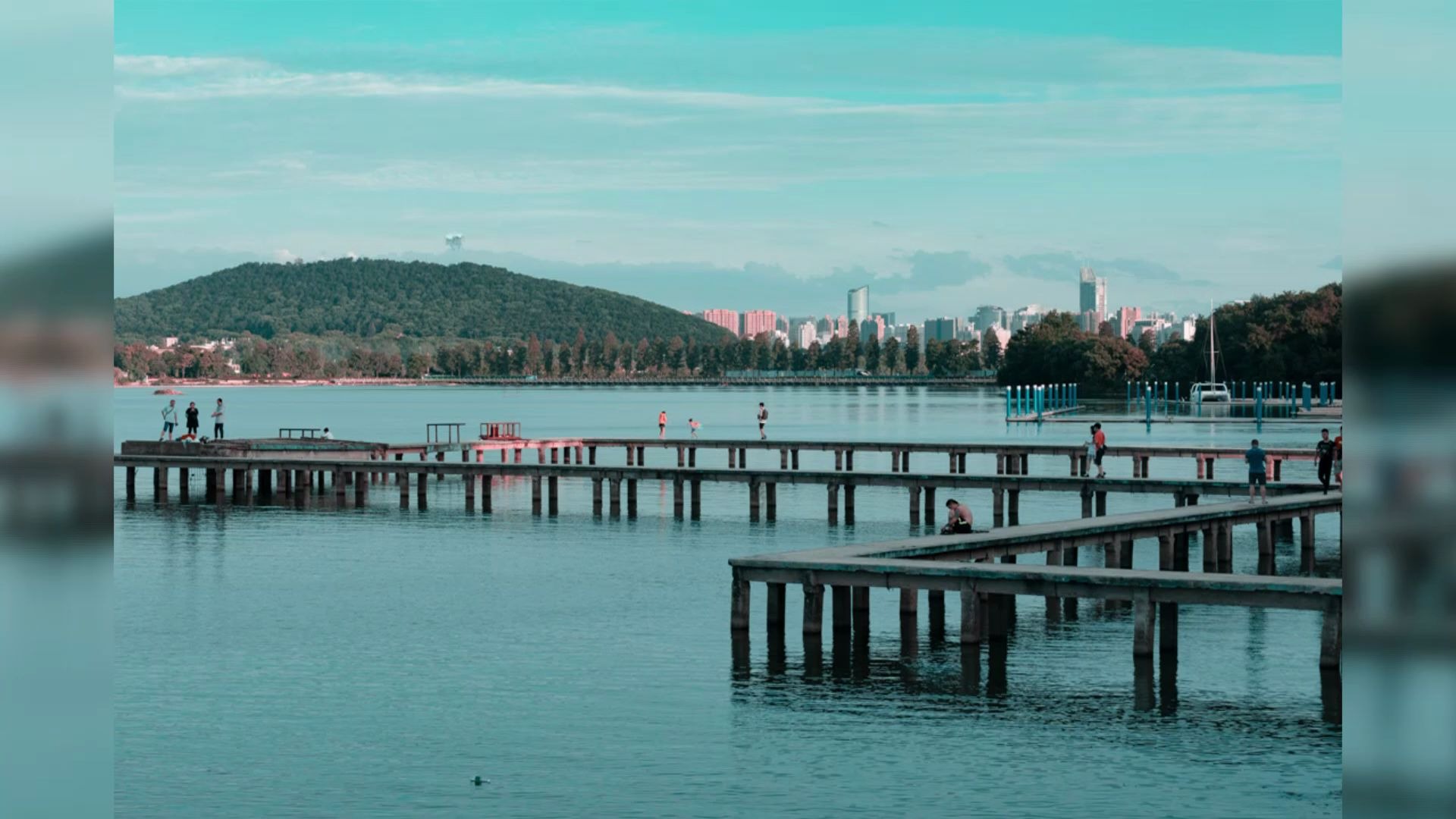 武大东湖凌波门的夏天