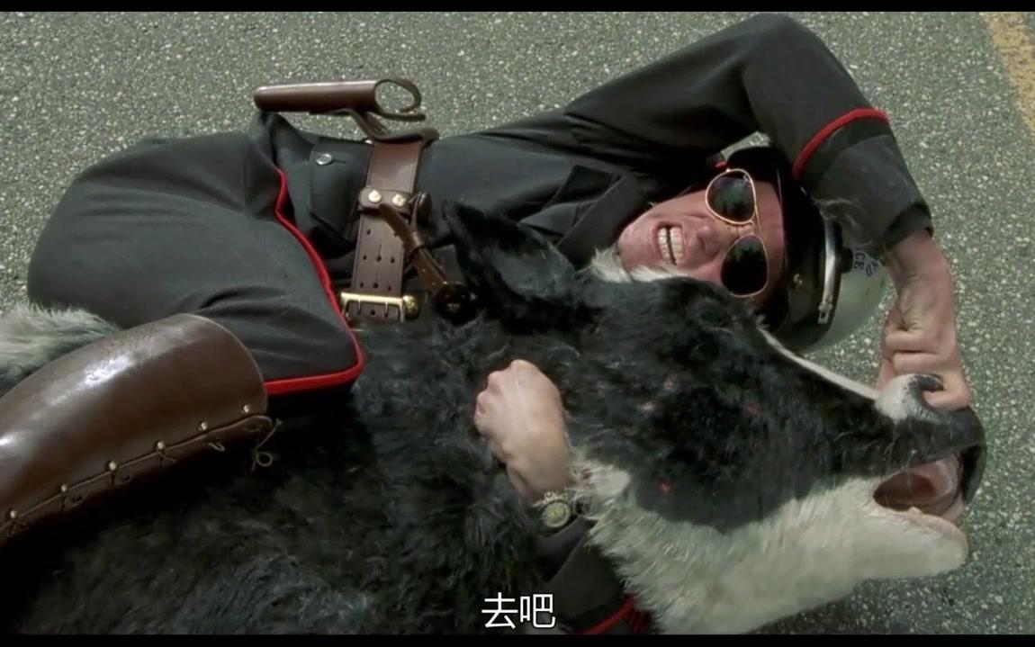 【金凯瑞《一个头两个大》有两绝