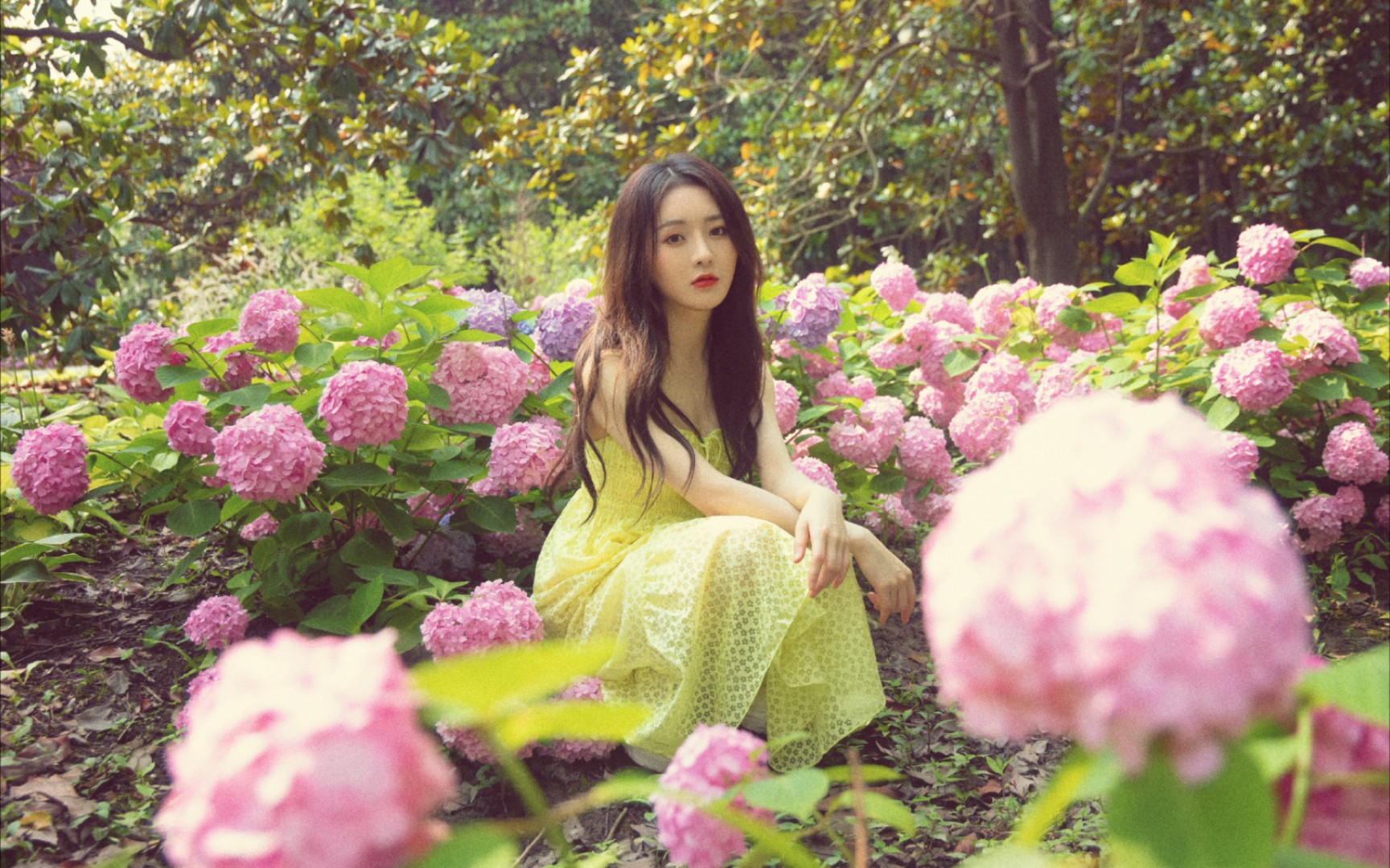 【莫寒】夏季专属大片 momo好美