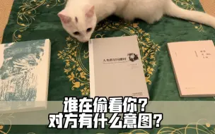 Video herunterladen: 谁在偷偷的关注你？对方有什么意图？